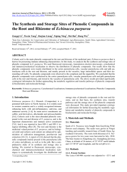 The Synthesis and Storage Sites of Phenolic Compounds in the