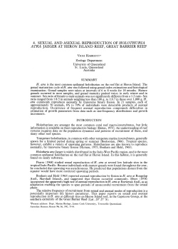 Sexual and asexual reproduction of Holothuria atra Jaeger at