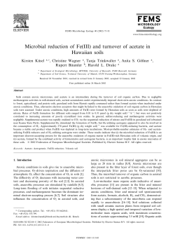 Microbial reduction of Fe(III) and turnover of acetate in Hawaiian soils