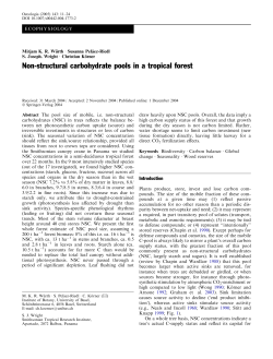 Non-structural carbohydrate pools in a tropical forest