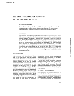 THE ULTRASTRUCTURE OF GLIOSOMES IN THE BRAINS OF