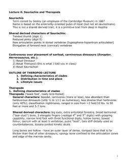 08-0417 NOTES