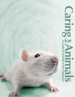 Caring for Animals - the AALAS Foundation