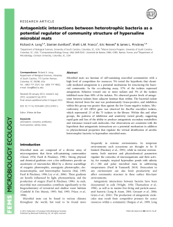 Antagonistic interactions between heterotrophic bacteria as a