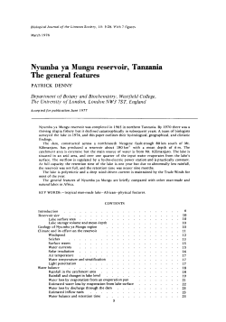 Nyumba ya Mungu reservoir, Tanzania: The