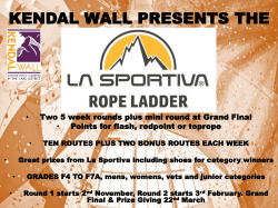 rope ladder - Kendal Wall