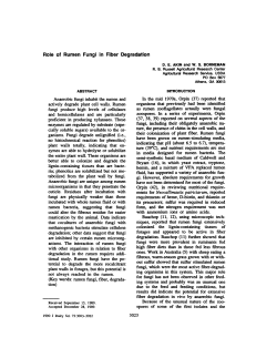 Role of Rumen Fungi in Fiber Degradation