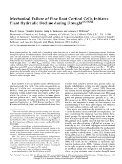 Mechanical Failure of Fine Root Cortical Cells