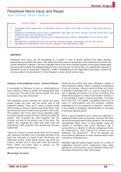 Peripheral Nerve Injury and Repair