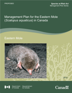Management Plan for the Eastern Mole (Scalopus aquaticus)