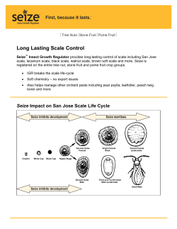 Long Lasting Scale Control