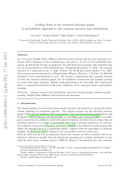 Looking down in the ancestral selection graph: A probabilistic