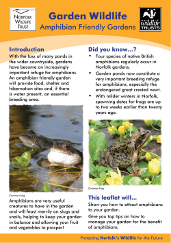 Garden Wildlife - Norfolk Wildlife Trust