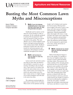 Busting the Most Common Lawn Myths and