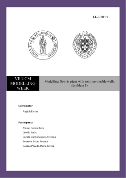 Modelling flow in pipes with semi-permeable walls (problem 1)