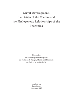 Larval Development, the Origin of the Coelom and - diss.fu