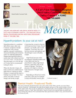 Hyperthyroidism: Is your cat at risk? Dental Health: Fractured Teeth