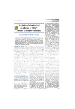 TALKING POINT Regulation of mitochondrial metabolism by ER Ca2