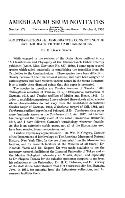 american museum novitates - AMNH Library Digital Repository