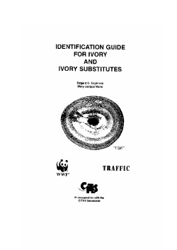 Ivory identification: Introduction