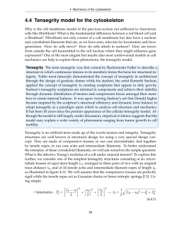 4.4 Tensegrity model for the cytoskeleton
