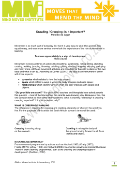 Crawling / Creeping: is it important?