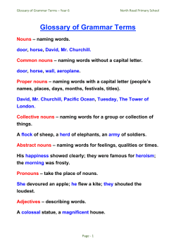 Glossary of Grammar Terms - North Road Primary School
