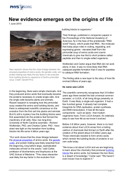 New evidence emerges on the origins of life