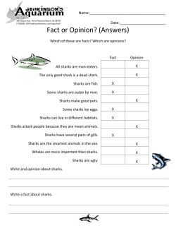 Fact or Opinion? (Answers)