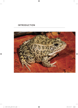 North American Amphibians - University of California Press