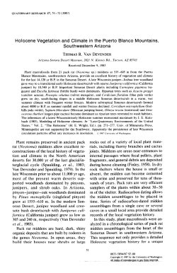 Holocene Vegetation and Climate in the Puerto Blanc0 Mountains