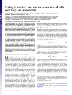 Scaling of number, size, and metabolic rate of cells