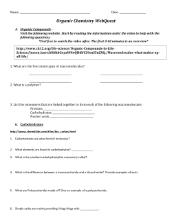 Organic Chemistry WebQuest