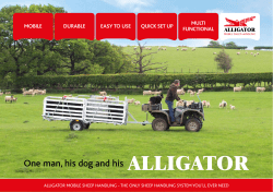 One man, his dog and his