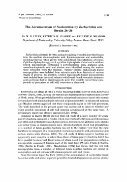 The Accumulation of Nucleotides by Escherichia coli