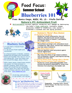 Blueberry Sorbet