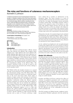 Johnson Curr Biol 20.. - Center for Neural Science