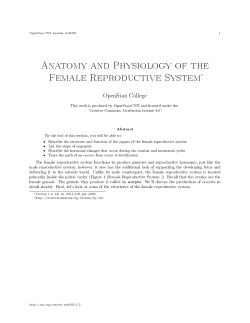 Anatomy and Physiology of the Female Reproductive System&lowast;