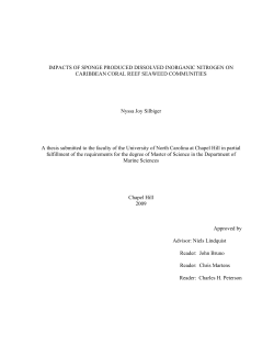 IMPACTS OF SPONGE PRODUCED DISSOLVED INORGANIC