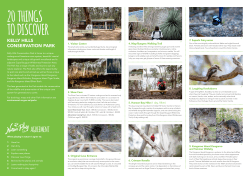 20 Things to Discover in Kelly Hills Conservation