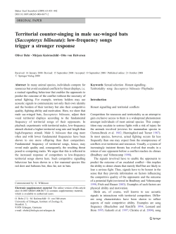Territorial counter-singing in male sac