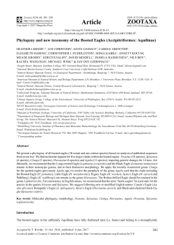 Phylogeny and new taxonomy of the Booted Eagles (Accipitriformes