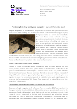 atypical myopathy information sheet for owners