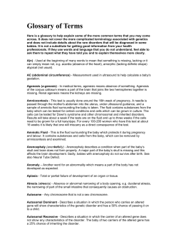 Glossary of Terms