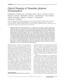 Optical Mapping of Plasmodium falciparum Chromosome 2