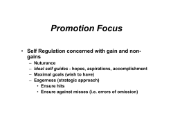 Promotion Focus