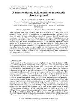 A fibre-reinforced fluid model of anisotropic plant cell growth