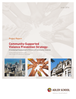 Community-Supported Violence Prevention Strategy