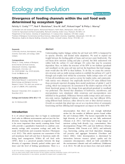 Divergence of feeding channels within the soil food web determined