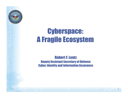 Cyberspace: A Fragile Ecosystem